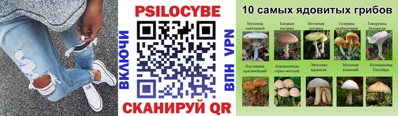 Галлюциногенные грибы Psilocybe  Кострома 